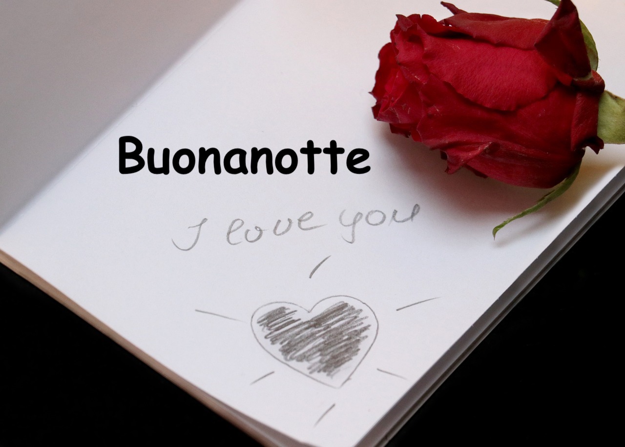 una rosa rossa posata su un block notes con scritto i love you a matita accanto a un cuoricino 